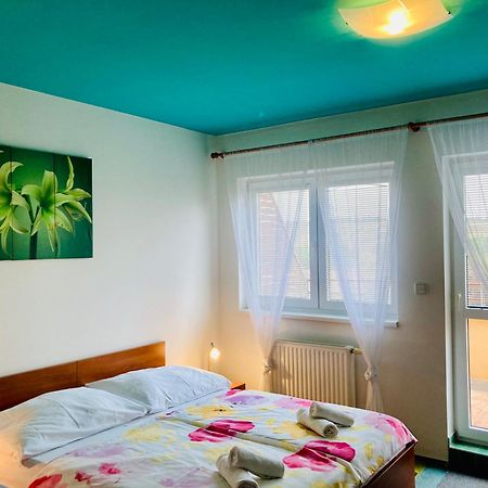 Apartmany, Penzion, Wellness U Zlate Rybky Vyškov Exterior foto