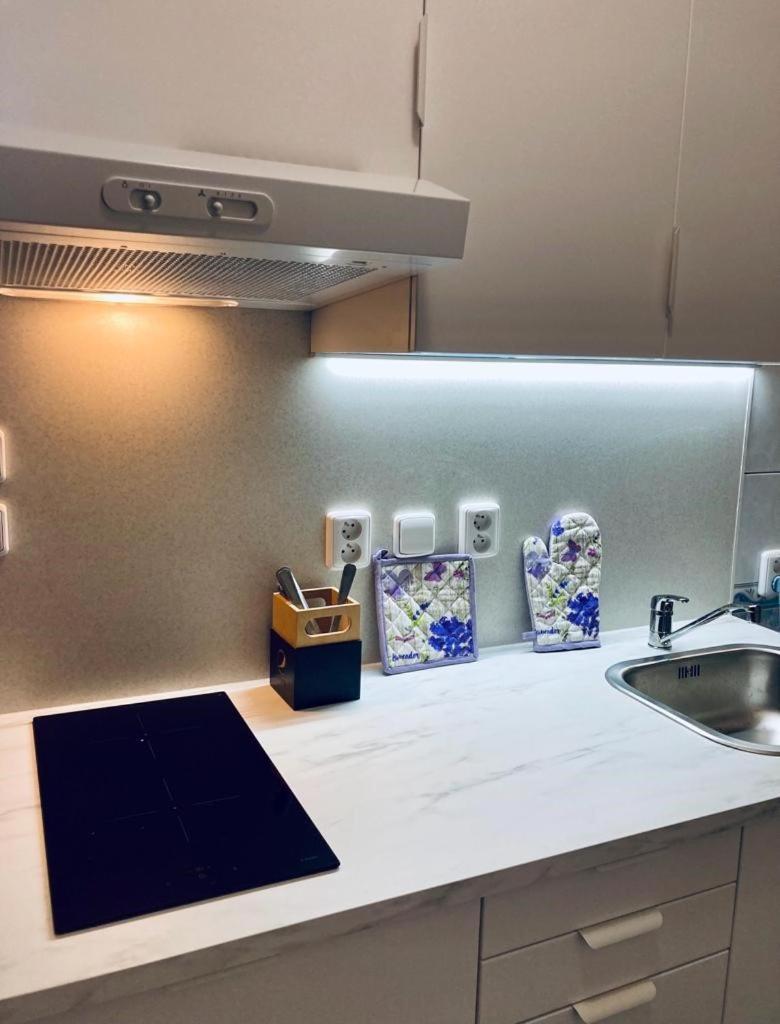 Apartmany, Penzion, Wellness U Zlate Rybky Vyškov Exterior foto