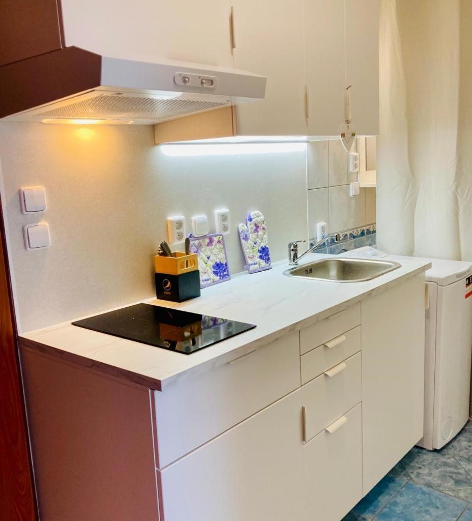 Apartmany, Penzion, Wellness U Zlate Rybky Vyškov Exterior foto