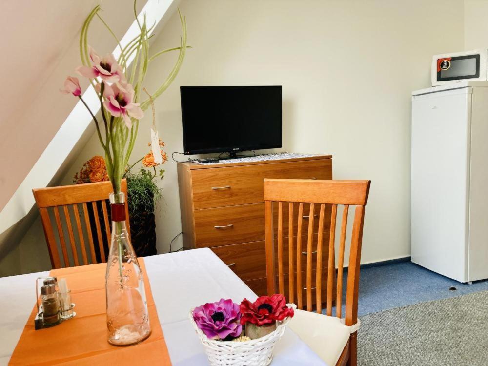 Apartmany, Penzion, Wellness U Zlate Rybky Vyškov Exterior foto